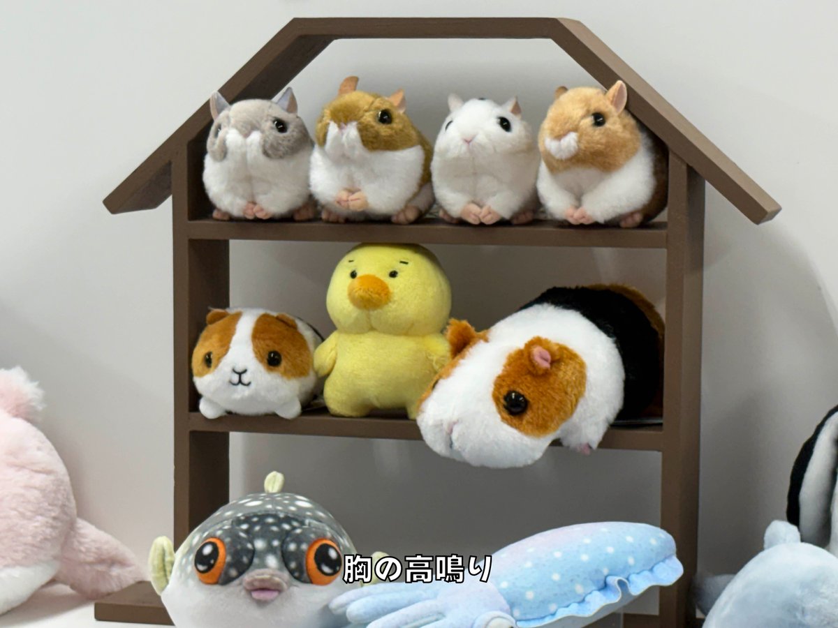 ちびむち tweet media