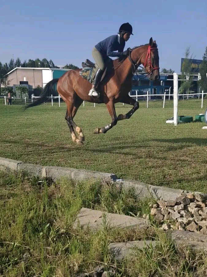 thekarenhorses's tweet photo. Looking for something exciting, relaxing, and unforgettable? Come and enjoy a beautiful horse riding experience at our stunning stables at Waterfront Karen.

Call / WatsApp  -0799966942
 
#horseridingnairobi 
#thewaterfrontstables 
#twkaren https://t.co/30EWeyhDSG
