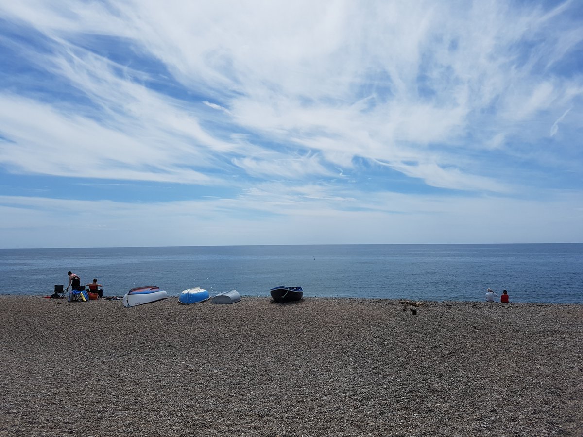 manonabeach tweet media