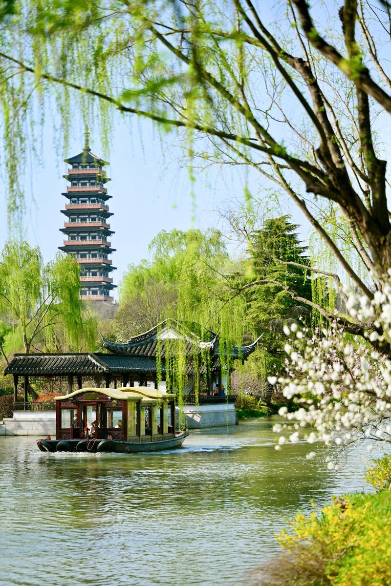 花间晚风 tweet media