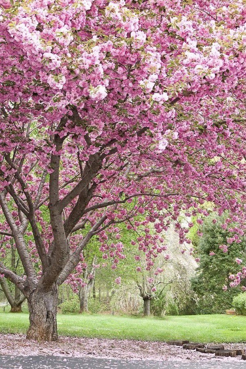 Sabine 🌟💛💫 tweet media