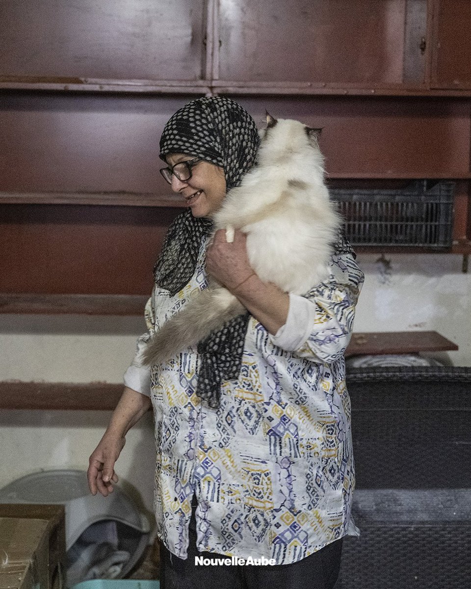 Nouvelle Aube - Yeni Şafak Français tweet media