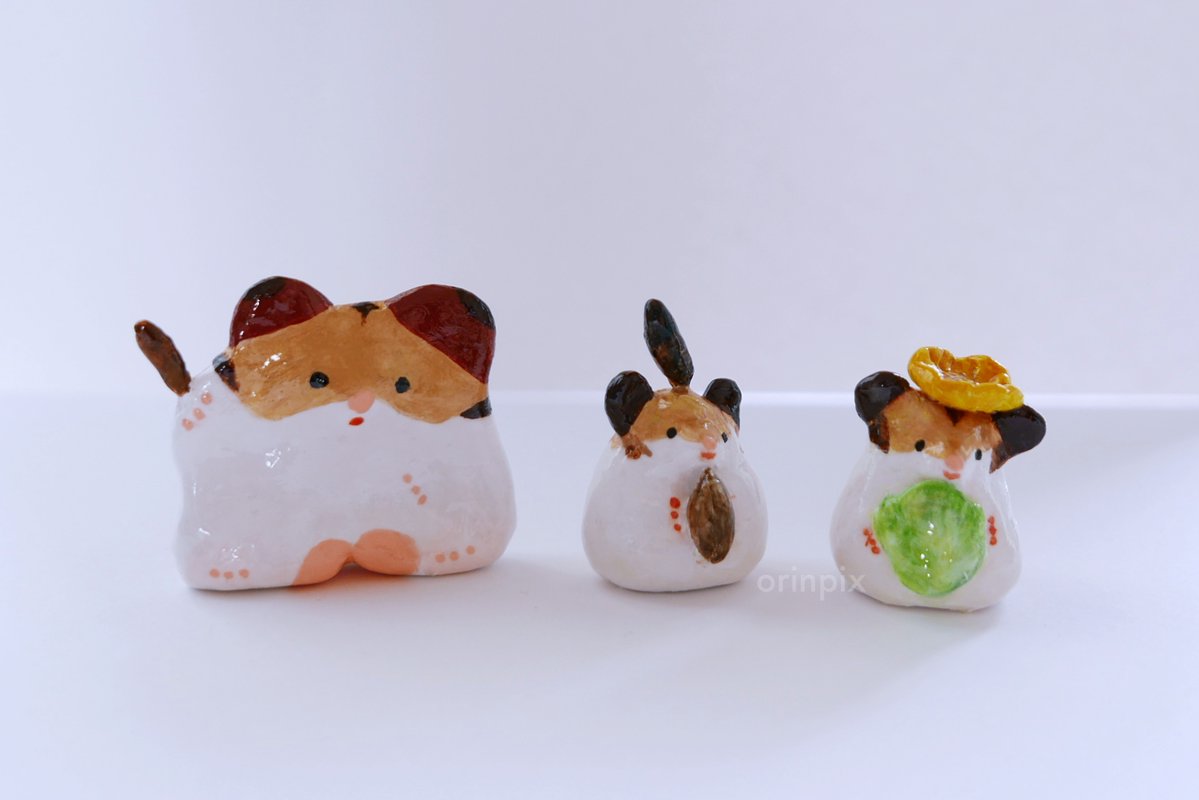 orinpix👩 & めいちゃん🐹 tweet media