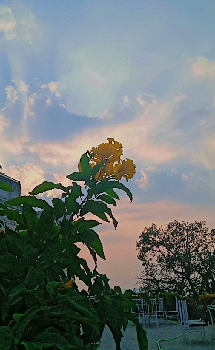 Pri.ellè♡` tweet media