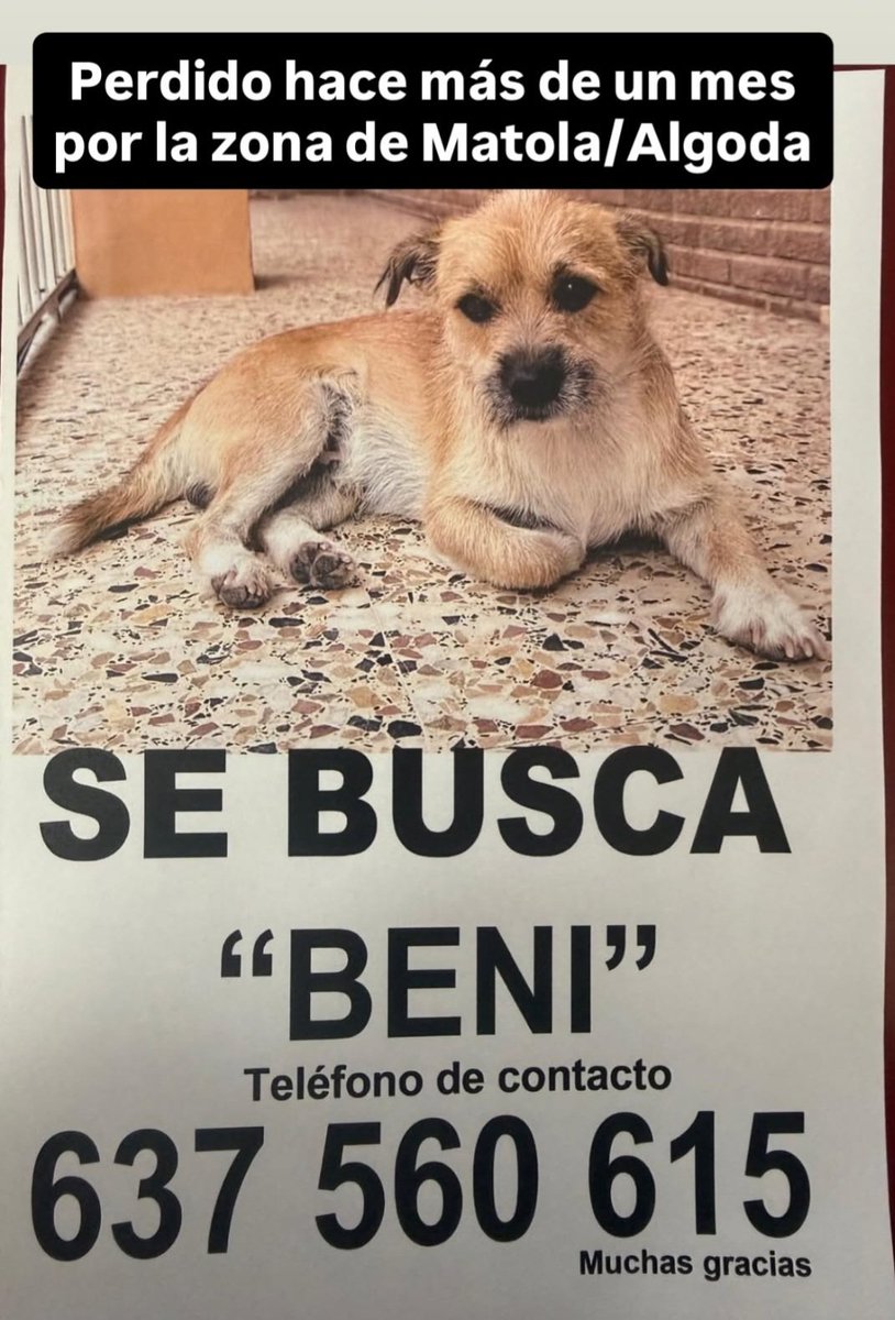 LorcaManoli's tweet photo. Un pequeño favor de difusión @MonicaCarrillo https://t.co/9tZPijKEX4