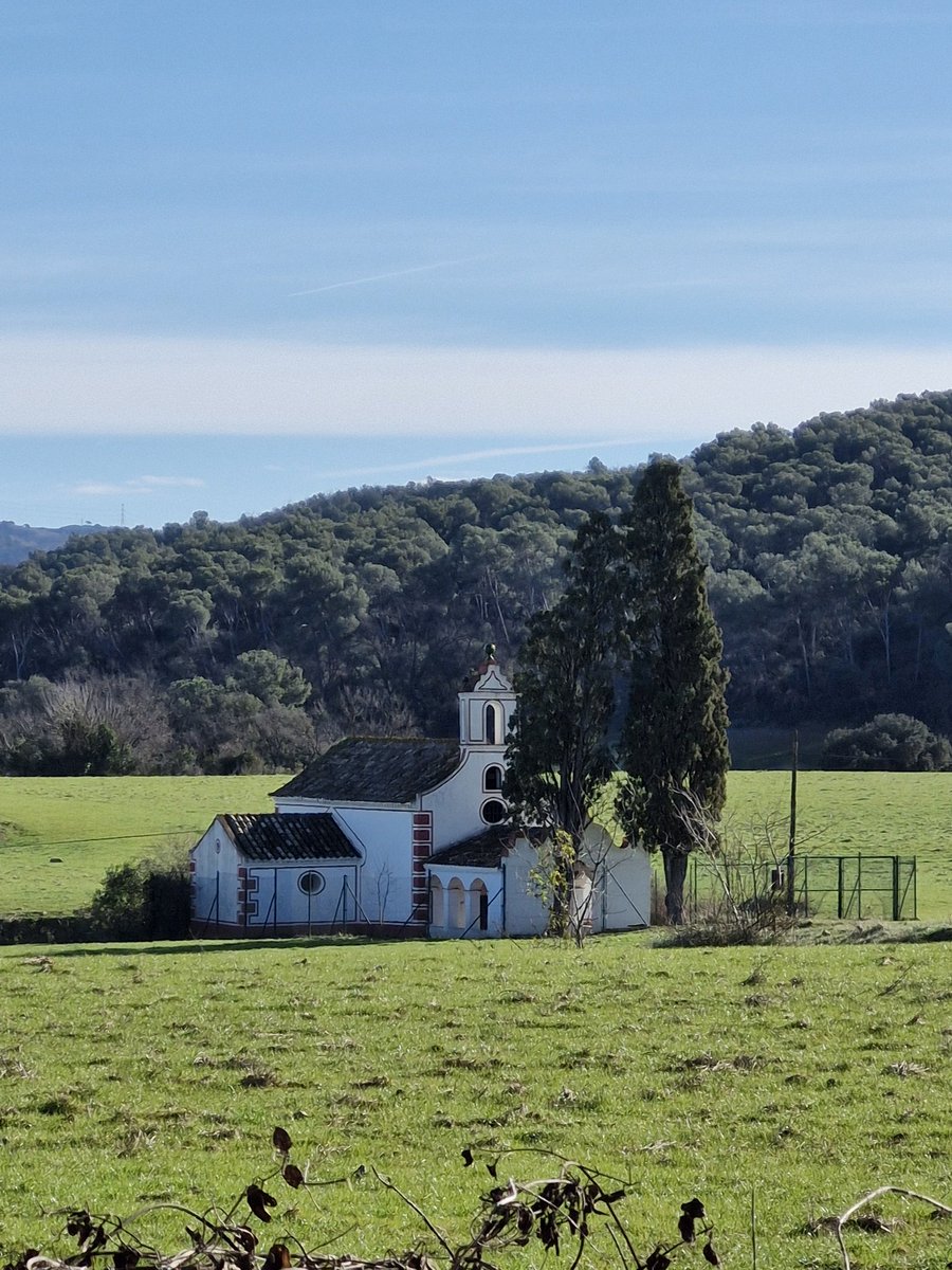 ElGatoJinks62 tweet media