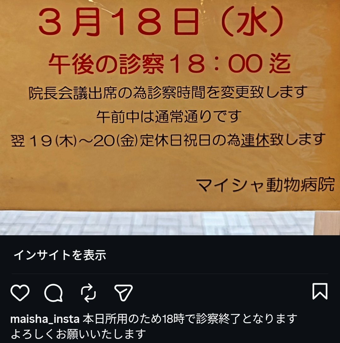 maisha_ah's tweet photo. https://t.co/hm8x6aeusG