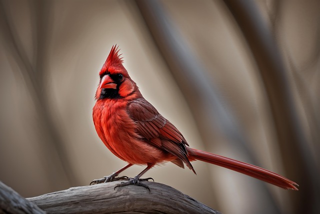 Alex Downing tweet media