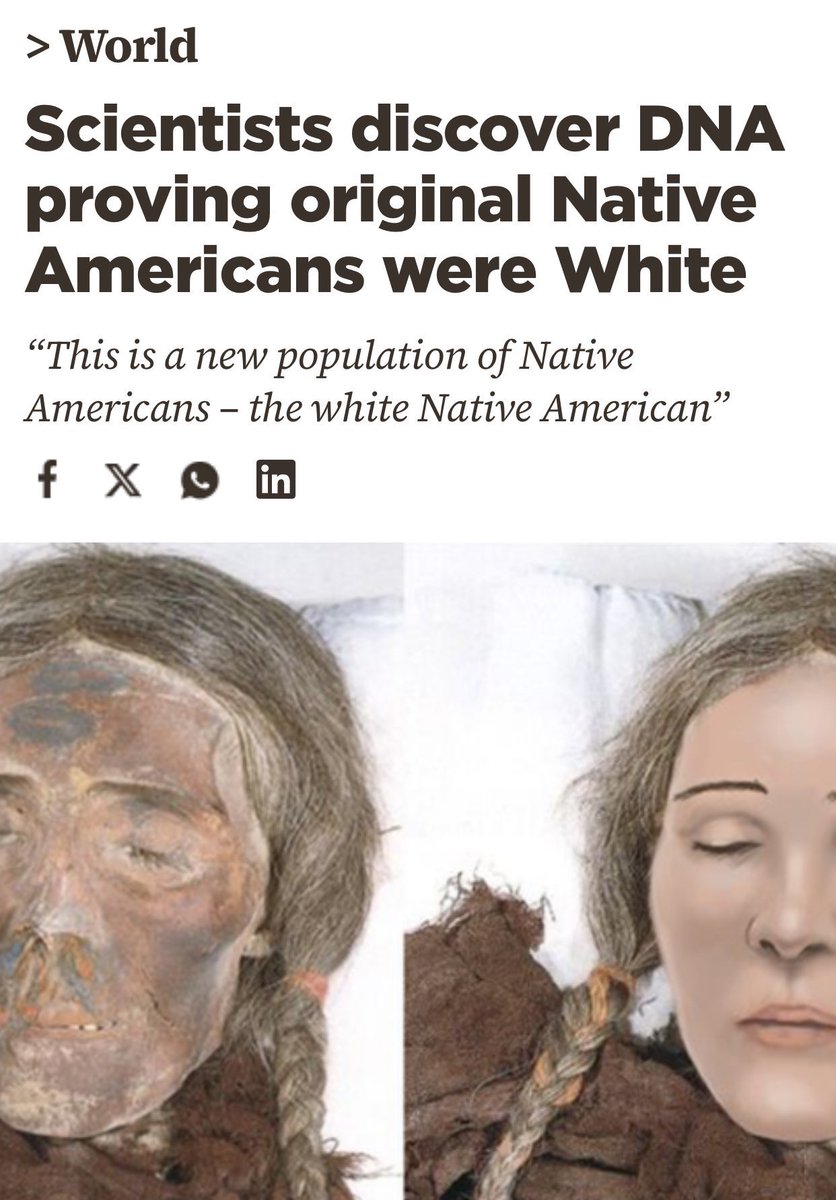 Jed Bibby tweet media