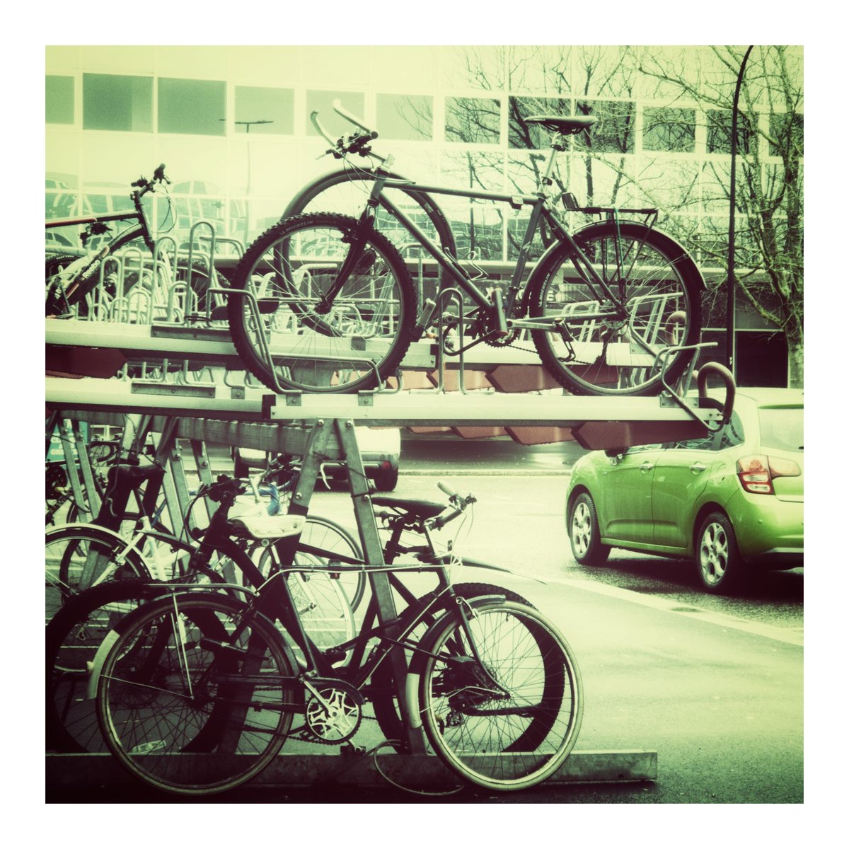 Dale Rockell tweet media