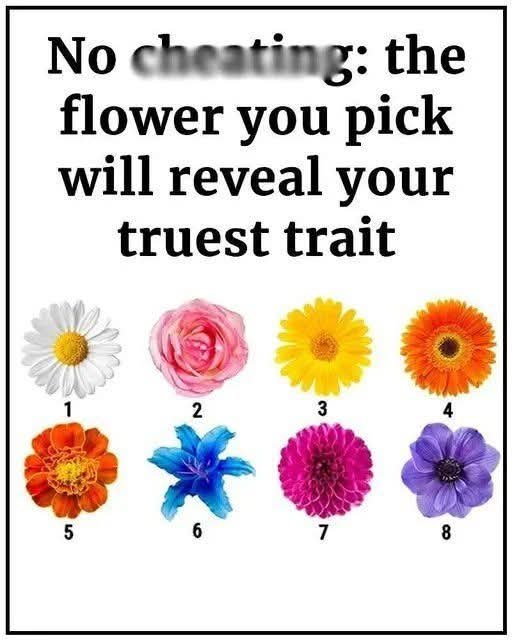 The Flower You Love Most Reveals Hidden Truths About Your Personality..
Full details in first comment 👇