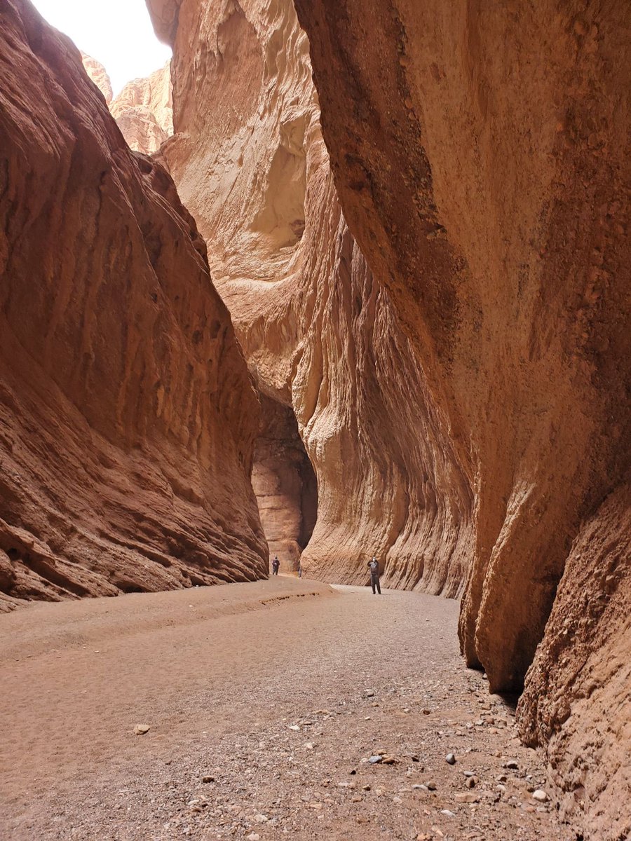 不明真相的群众 tweet media