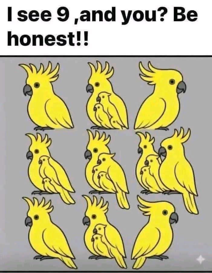 Elizabeth❣️ (@workelizab) on Twitter photo 