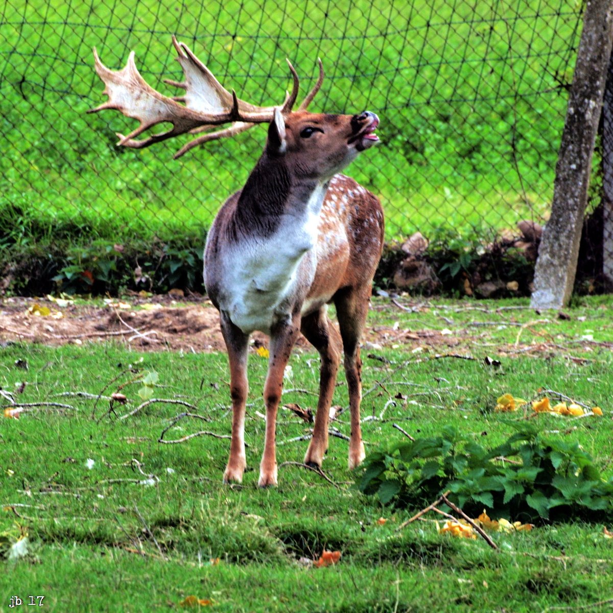 Johannes Beilharz tweet media