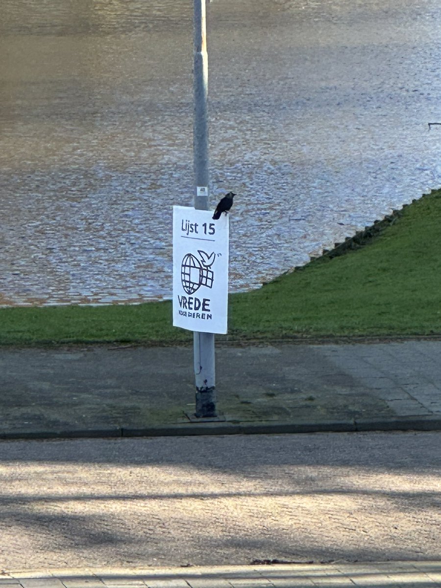 Ruud van der Velden tweet media