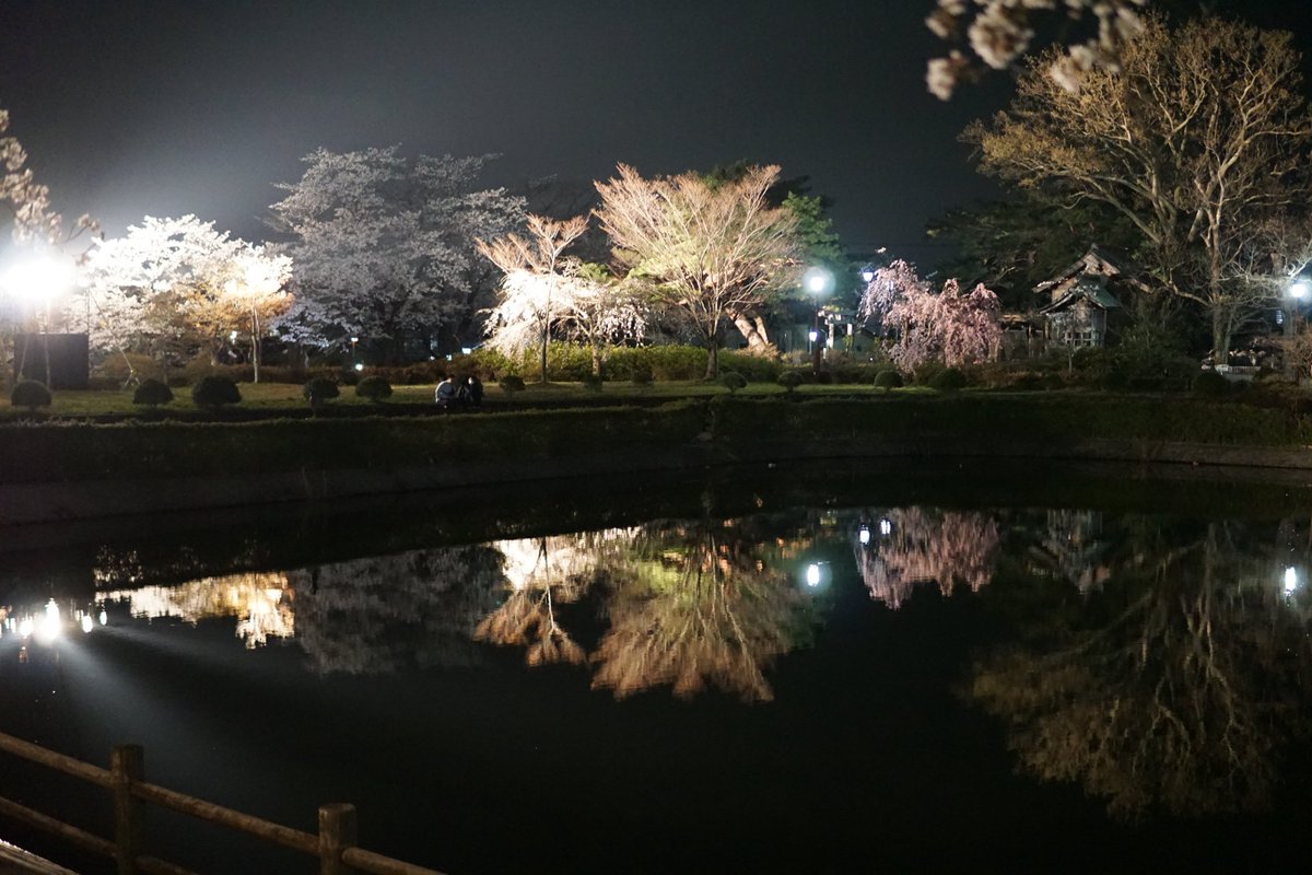 観月台はサムいため、福島市よりほんの少し遅くなる場合が多いですが
このデータだと5日が良さそうですね！
福島県北端、国見町のコスイベ
#コスビート国見
5日、12日、共にロング開催です
よろしくお願いいたします！
開花確認も見れた時に報告いたしますー。