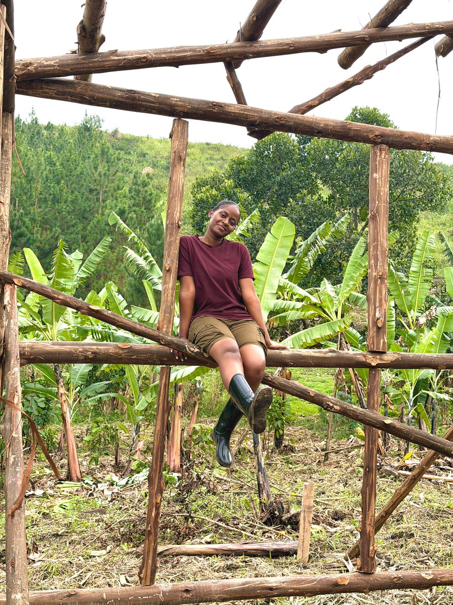 Linda Evelyn Namulindwa tweet media