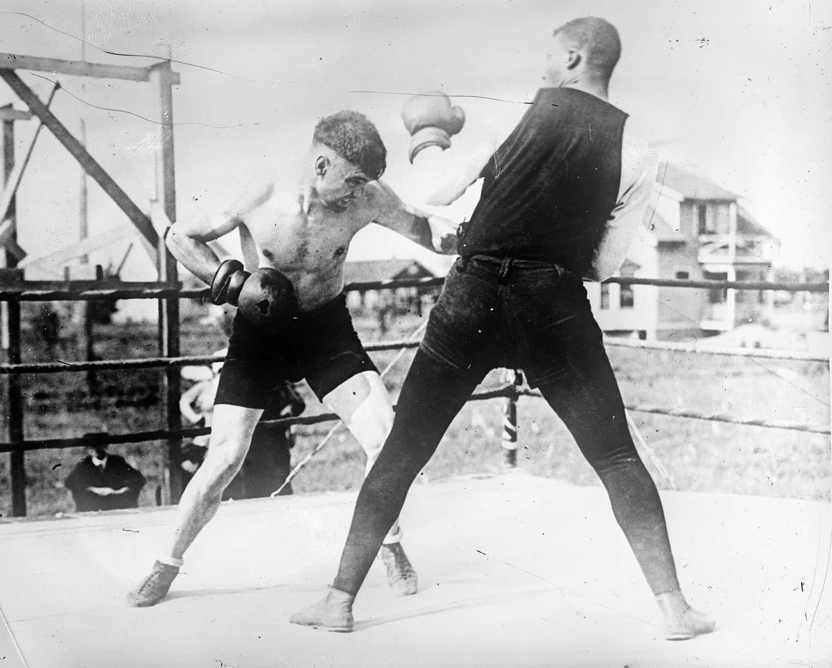 ジョー小泉Bot tweet media