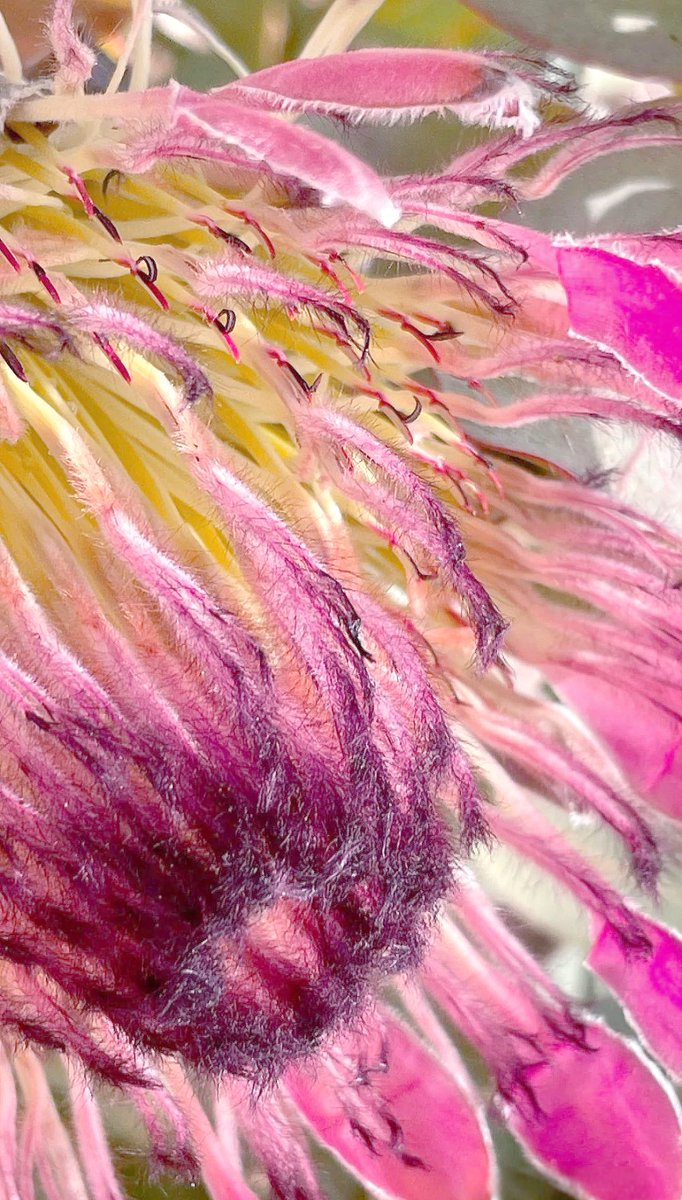 br0keng1rl tweet media