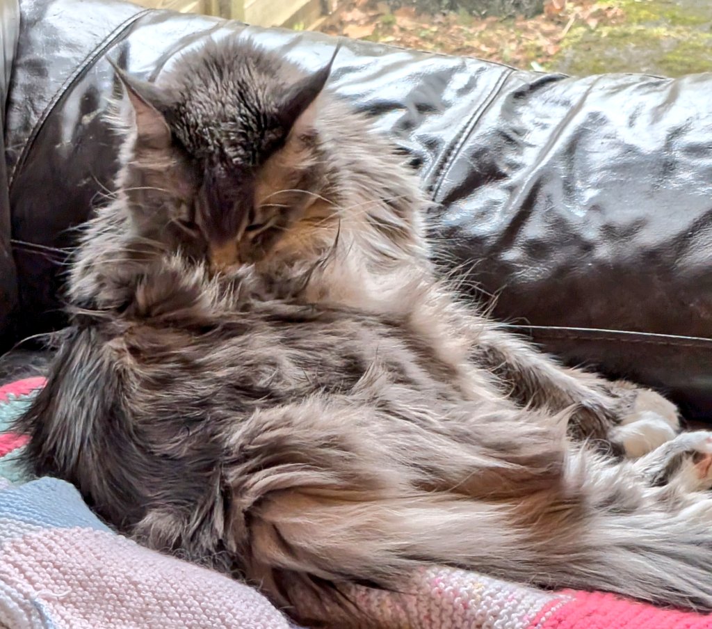 Speedbird Julie ✈️🍾🥂❤️⛸️ tweet media