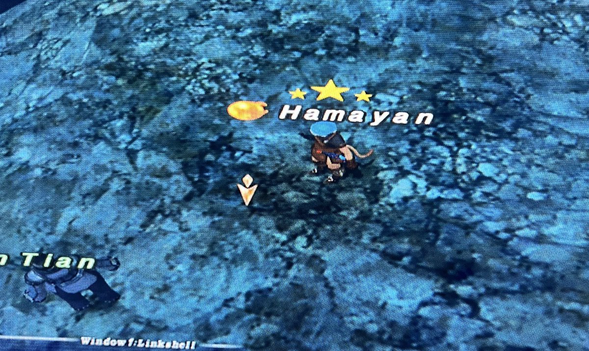 はまやん tweet media