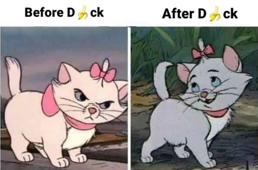 Gentle Man tweet media