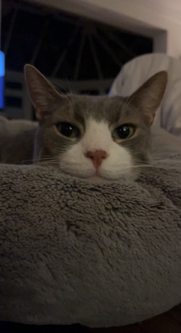 David Riley tweet media