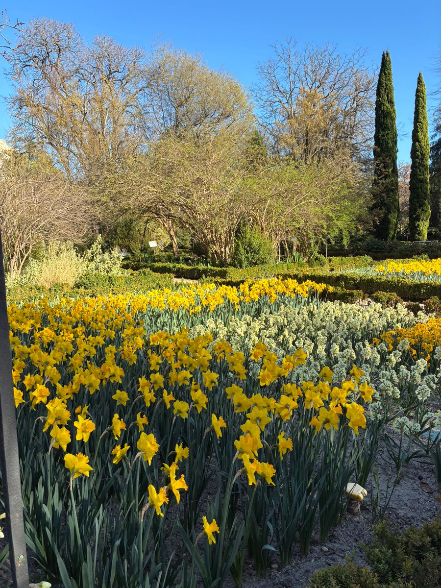 REAL JARDÍN BOTÁNICO tweet media