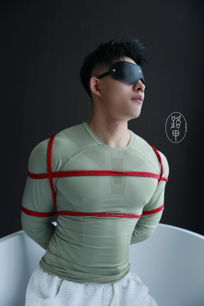 拍照的路甲（黑化版） tweet media