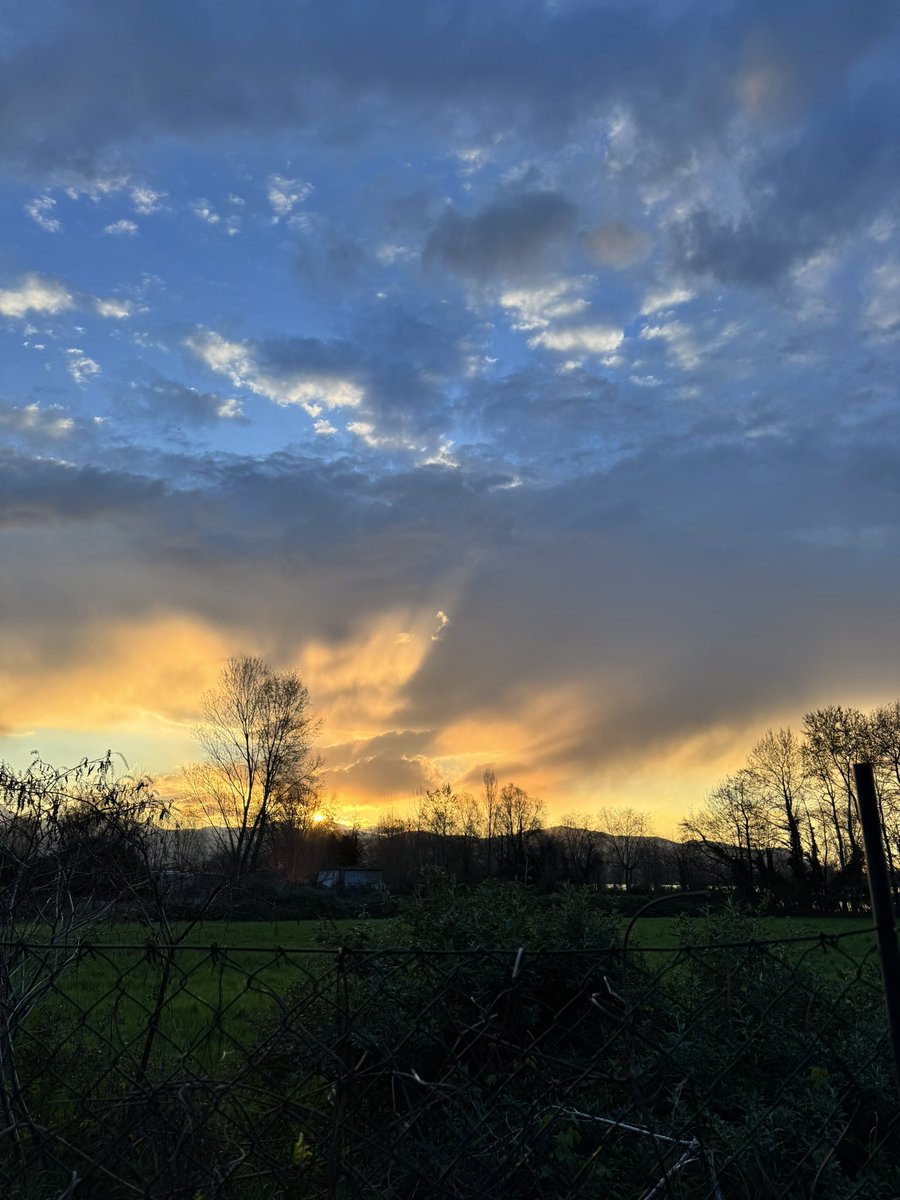 Mercoledì!
Buongiorno