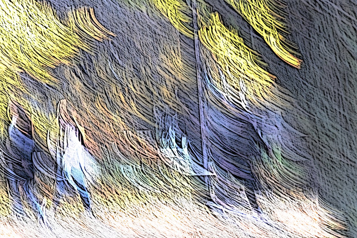 Lasse Tur tweet media