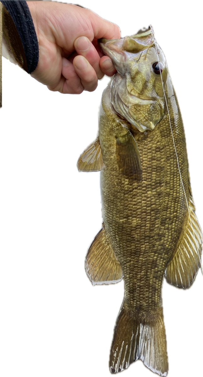 ヒデチカ tweet media