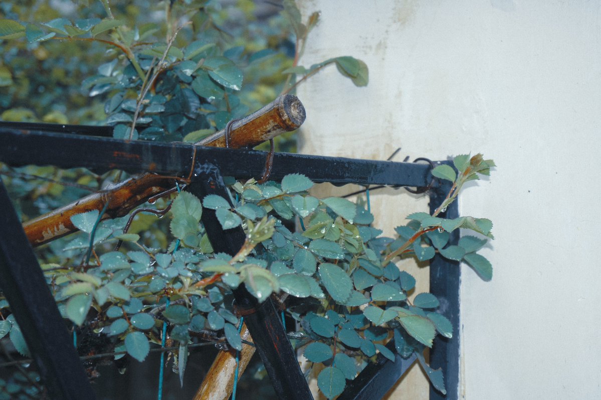 💦爆 漿 魷 魚🐙 tweet media