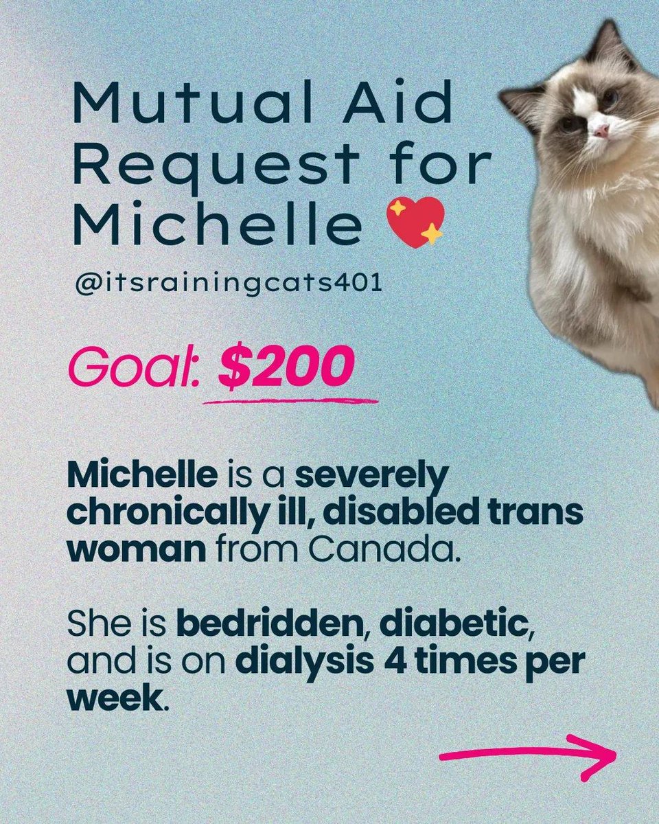 Michelle 🌸 tweet media