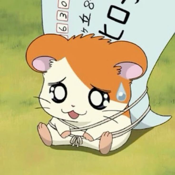 CEYi-ChEese! ^⎚-⎚^ tweet media