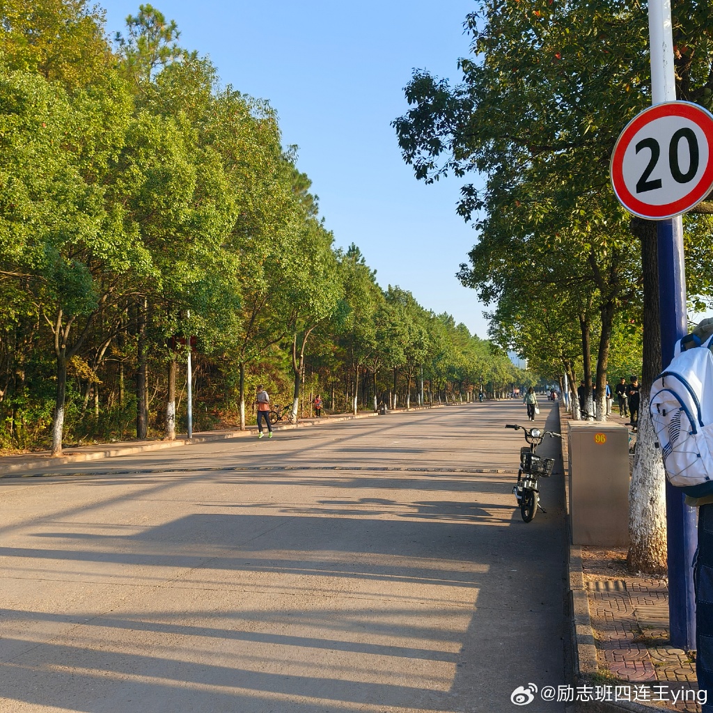 scobie dain tweet media