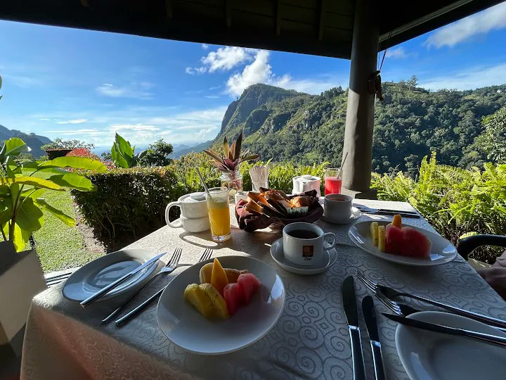 TravelBluez tweet media