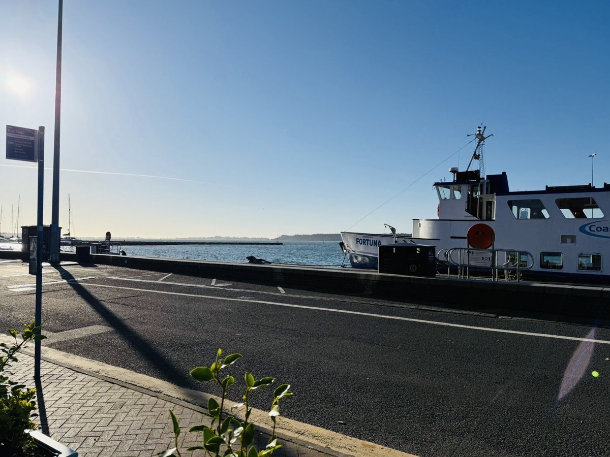 Alex Reilley tweet media