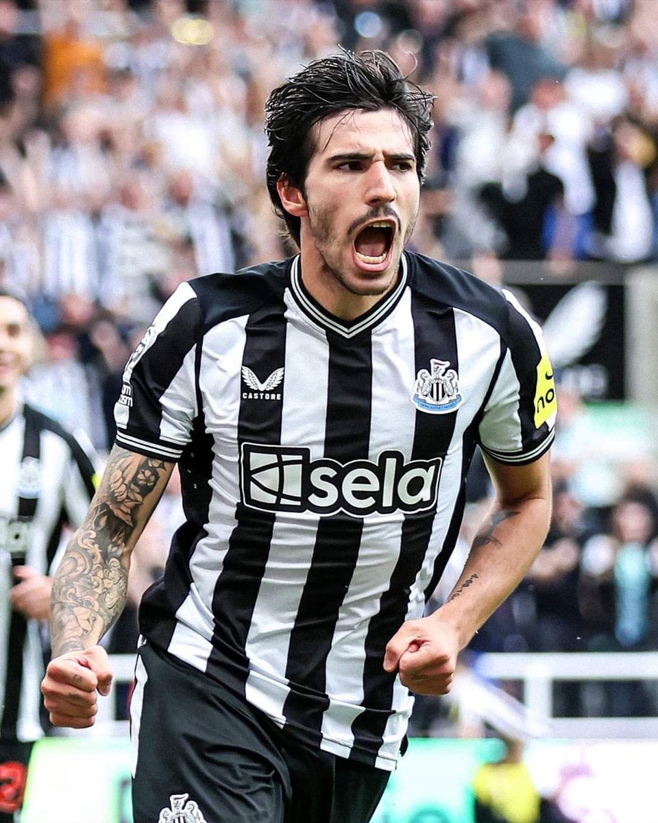 (fan) Frank 🧠🇾🇪 tweet media