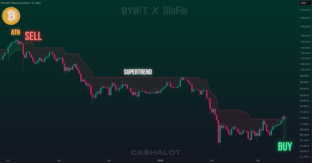 ฿LUE WHALΞ tweet media