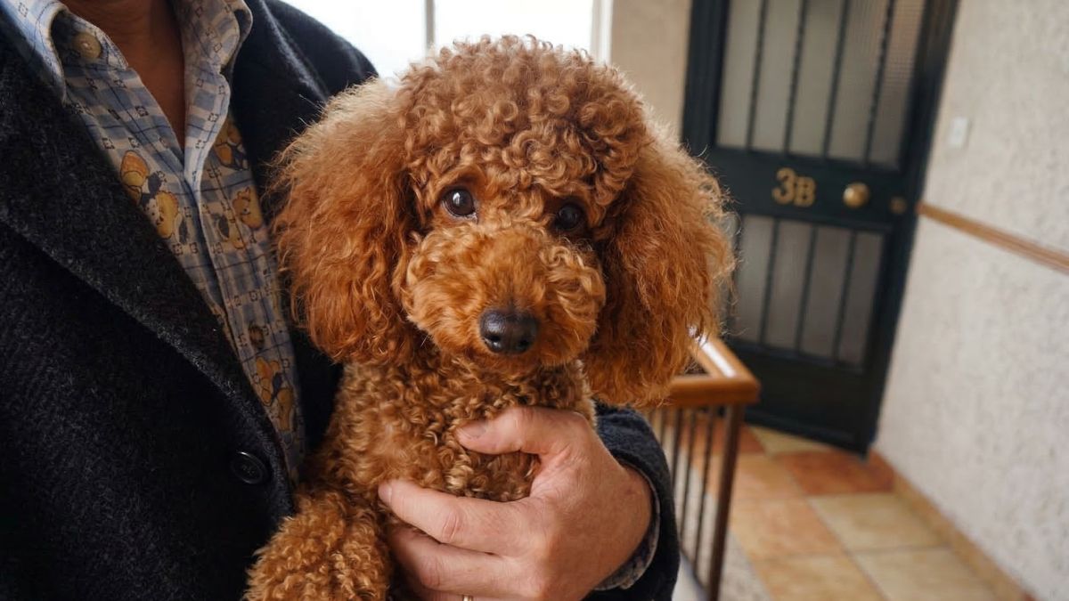 NoticiasTrabajo tweet media