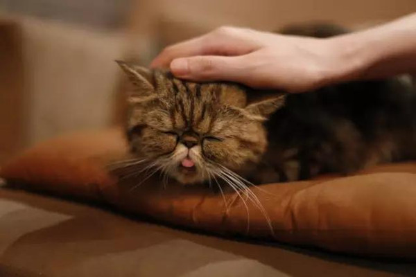 Earl D. Watts tweet media