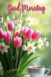 Annemiek Alons 🇳🇱 tweet media