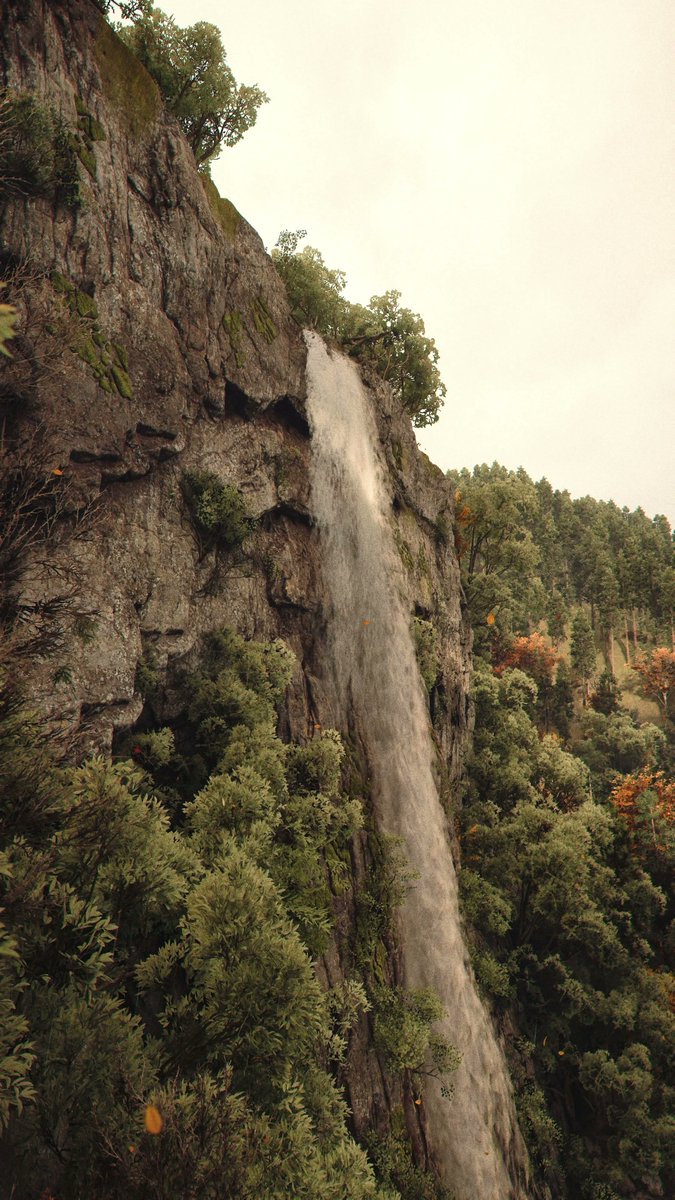 PhotoMode_Raro📷 tweet media