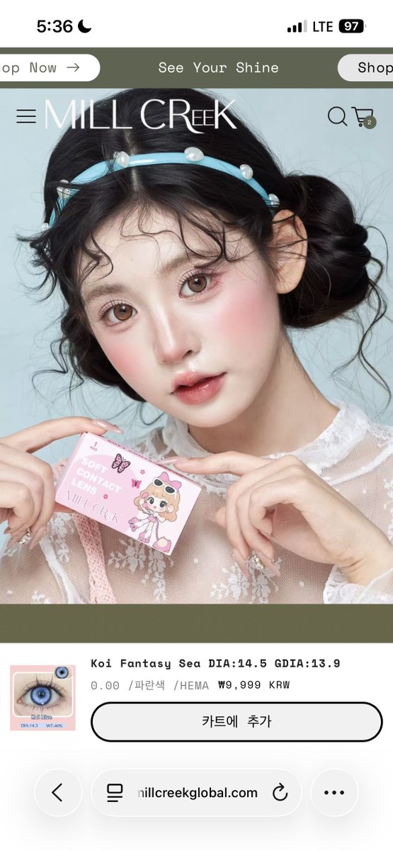 쵸이 ㅌㅊㅅ tweet media