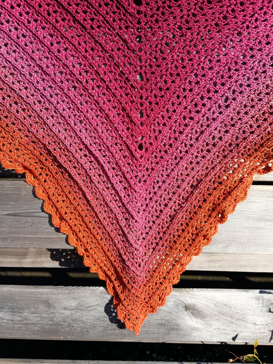 🪷Linda🌻 tweet media