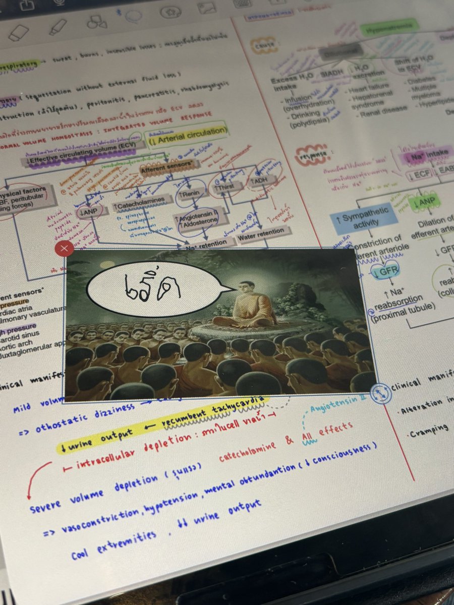 นายกลิง เอ๊็ร์อะฬ์์์ tweet media