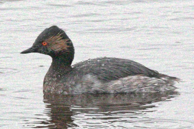 Jaume Campderròs “Txumi” tweet media