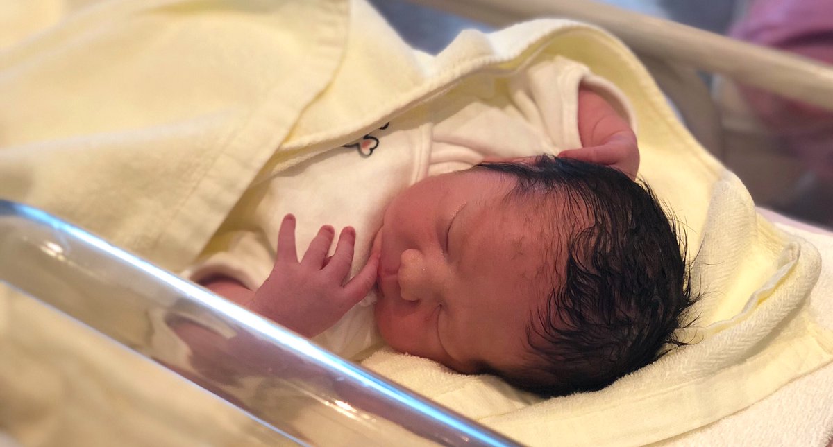 モカ🍊 tweet media