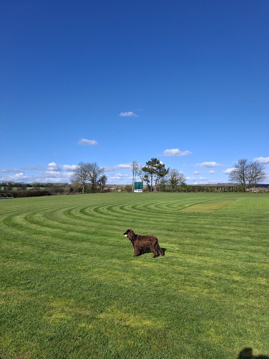 Hambledon Cricket Club tweet media